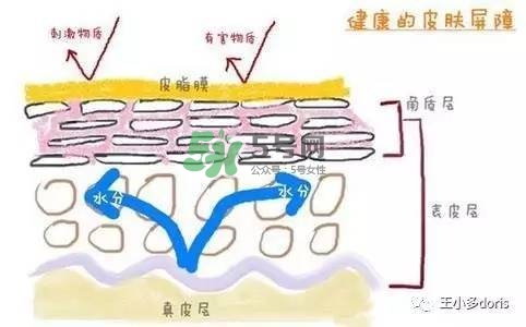 外油內(nèi)干的皮膚怎么護(hù)理 先補水還是先控油