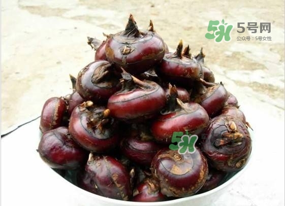 野荸薺是什么樣子的？野荸薺的營養(yǎng)價值