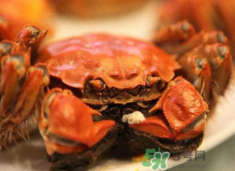 太湖蟹什么時候上市？太湖蟹幾月份有