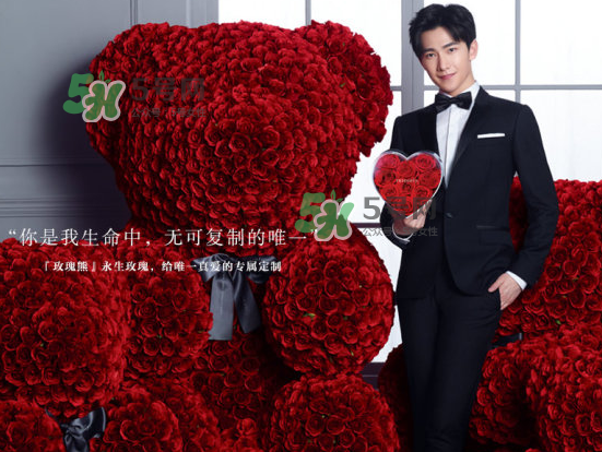 roseonly熊怎么樣？roseonly玫瑰熊好看嗎？