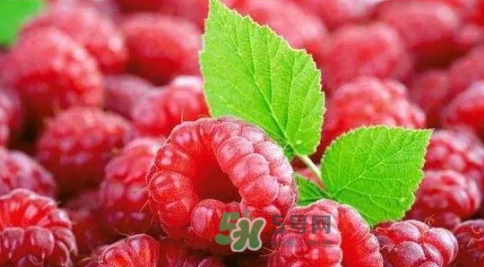 pola莓果酵素怎么吃？pola紅莓酵素怎么樣？