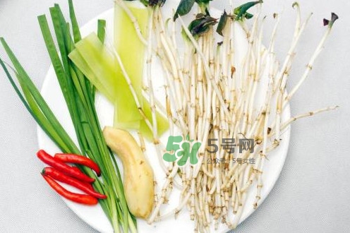 魚腥草什么季節(jié)有？魚腥草什么時候采摘最好