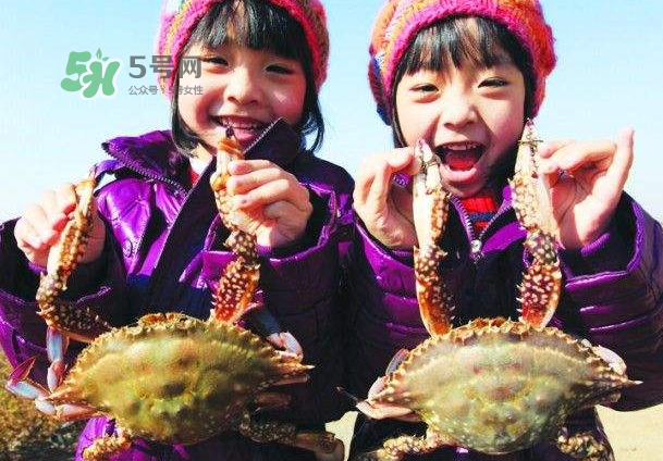 青島梭子蟹多少錢一斤？青島梭子蟹什么時(shí)候上市？