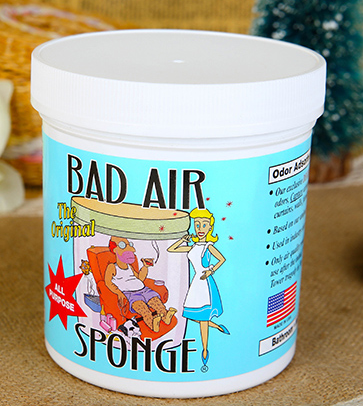 Bad Air Sponge有用嗎？Bad Air Sponge效果如何？