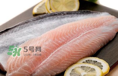 巴沙魚是鯰魚嗎？巴沙魚是海魚嗎