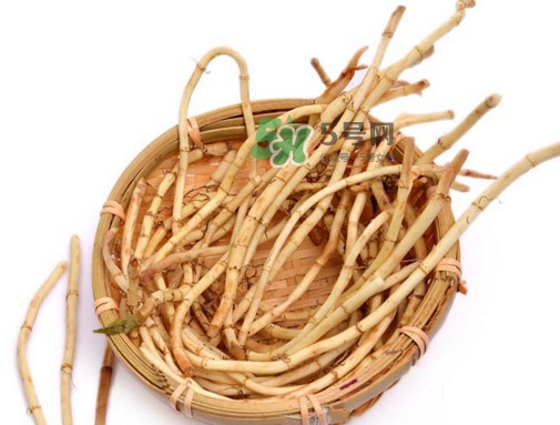 折耳根有毒嗎？折耳根有毒吃了會傷腎？