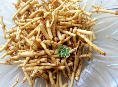 魚腥草可以和蜂蜜一起喝嗎？蜂蜜能和魚腥草一起泡嗎