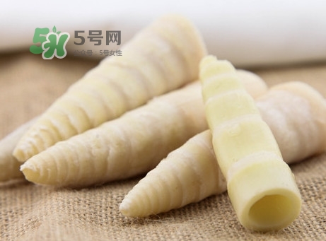 苦筍是什么竹子？苦筍是發(fā)物嗎