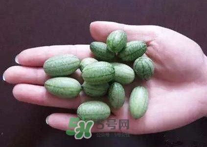 拇指西瓜怎么吃？拇指西瓜好吃嗎