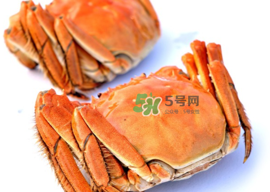 板蟹蒸多長(zhǎng)時(shí)間？板蟹蒸多久時(shí)間能熟？