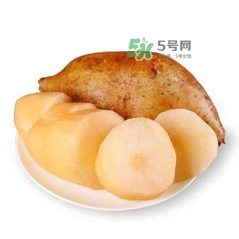 雪蓮果怎么挑？雪蓮果怎么儲存方法？