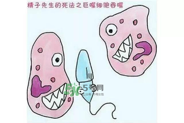 殺精的食物有哪些？吃什么東西殺精？