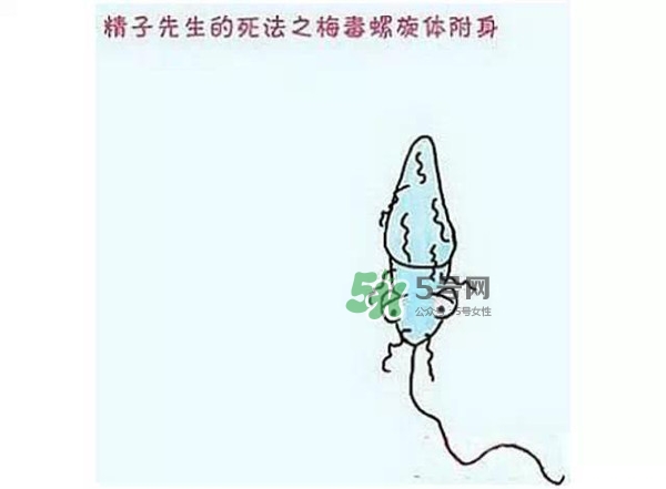 殺精的食物有哪些？吃什么東西殺精？