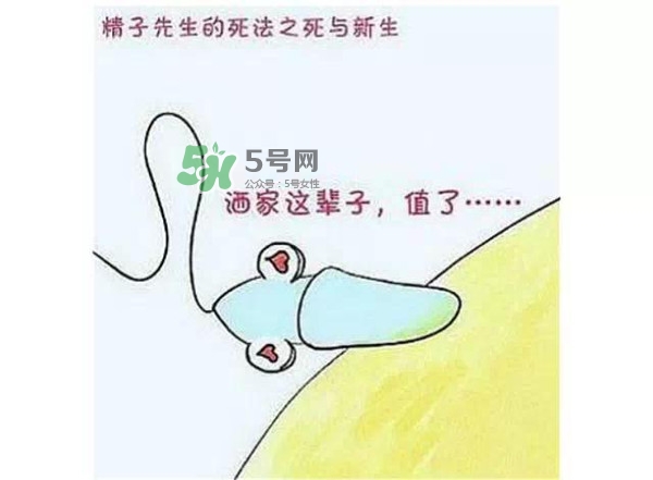 殺精的食物有哪些？吃什么東西殺精？