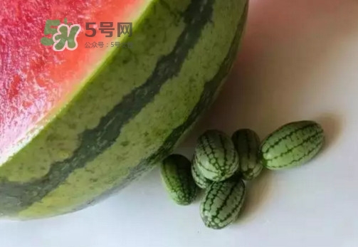 拇指西瓜什么時(shí)候上市？拇指西瓜什么時(shí)候成熟