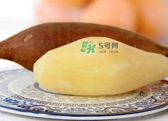 雪蓮果是地瓜嗎？雪蓮果和紅薯的區(qū)別