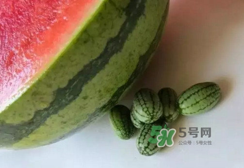 拇指西瓜多少錢一斤？拇指西瓜一口能吃幾個(gè)？