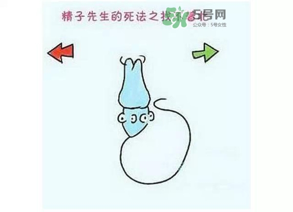 殺精的食物有哪些？吃什么東西殺精？