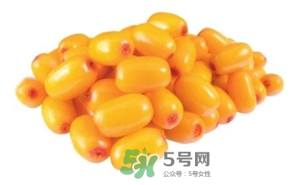 沙棘怎么吃？沙棘果的食用禁忌