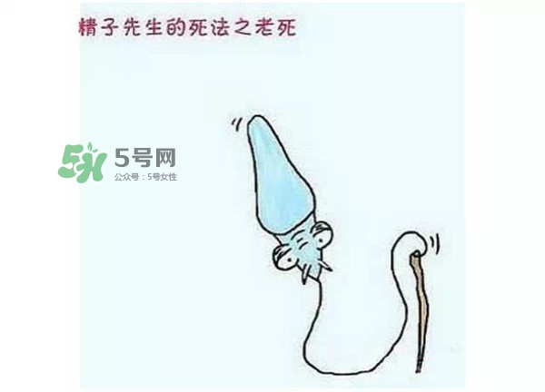 殺精的食物有哪些？吃什么東西殺精？