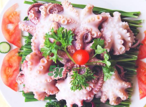 八爪魚什么地方不能吃？八爪魚哪里不能吃？