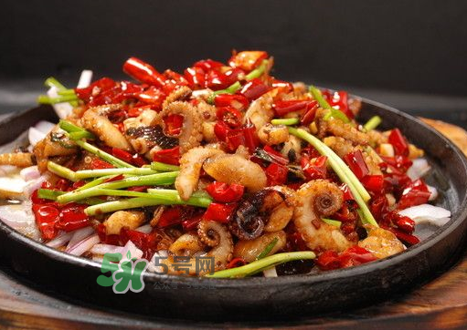 八爪魚煮多久才好？八爪魚需要煮多久？