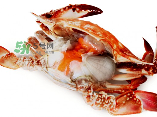 吃梭子蟹會(huì)胖嗎？梭子蟹吃了會(huì)胖嗎？ 