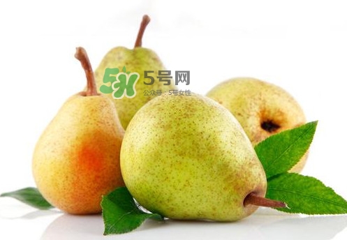 梨子是什么季節(jié)的水果？梨子什么季節(jié)吃最好