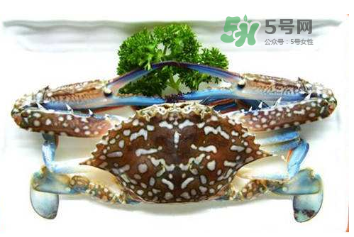 螃蟹腿藍(lán)色的是什么？螃蟹腿為什么是藍(lán)色？
