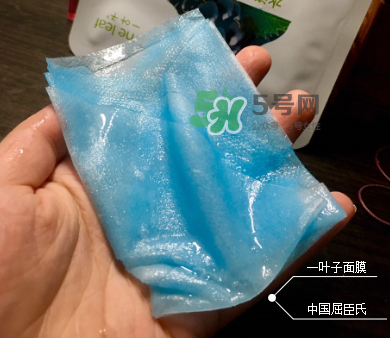 一葉子山茶花補水面膜怎么樣？一葉子山茶花面膜好嗎？