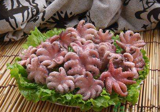 八爪魚煮多久才好？八爪魚需要煮多久？