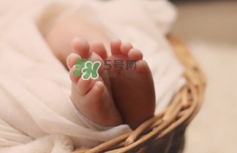 孕婦怎么吃燕窩最好？哪些孕媽需要吃燕窩？