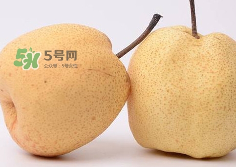 碭山梨好還是皇冠梨好？碭山梨和皇冠梨的區(qū)別