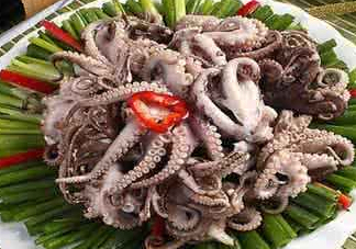 八爪魚可以冷凍嗎？八爪魚可以放冰箱嗎？