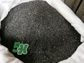 怎么看男人腎好不好？男人腎虛吃什么調(diào)理？