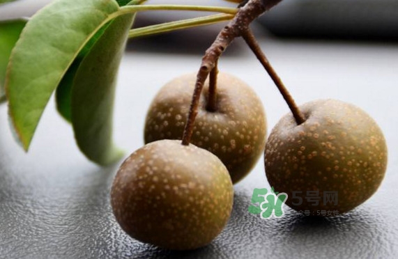 棠梨子怎么吃？棠梨子孕婦可以吃嗎