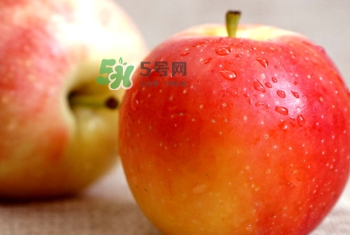 嘎啦蘋果多少錢？嘎啦果多少錢一斤