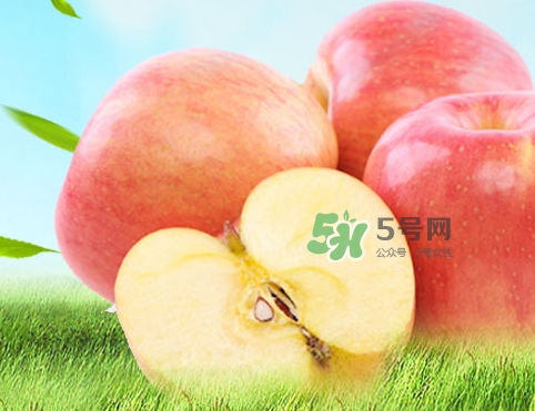嘎啦蘋果多少錢？嘎啦果多少錢一斤