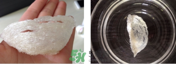 燕窩用什么鍋燉最好吃？燕窩用什么器具燉最好？