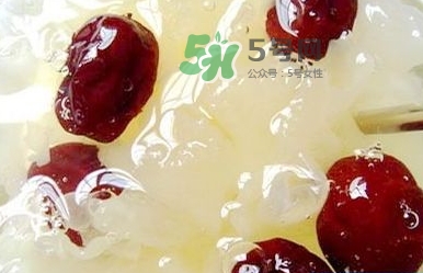 燕窩用什么鍋燉最好吃？燕窩用什么器具燉最好？
