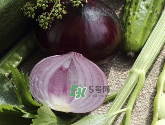 皮芽子發(fā)芽了可以吃嗎？新疆人為什么都愛吃皮芽子