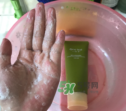 一葉子補水潔面乳怎么樣？一葉子補水洗面奶好用嗎？