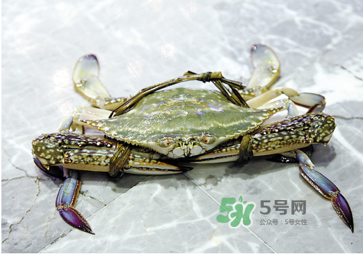 梭子蟹可以和酸奶一起吃嗎？吃完梭子蟹能喝酸奶嗎？