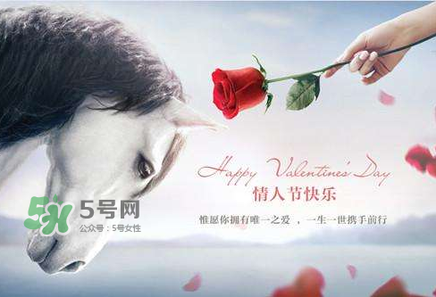roseonly怎么樣？roseonly好看嗎？