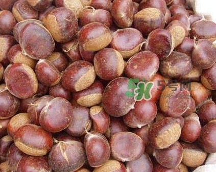 哪里產(chǎn)的板栗最好吃？板栗怎么挑選