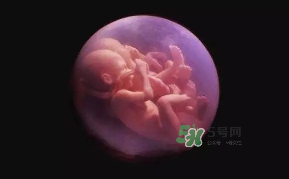 多胞胎是怎么生產(chǎn)的？多胞胎應(yīng)選擇什么分娩方式