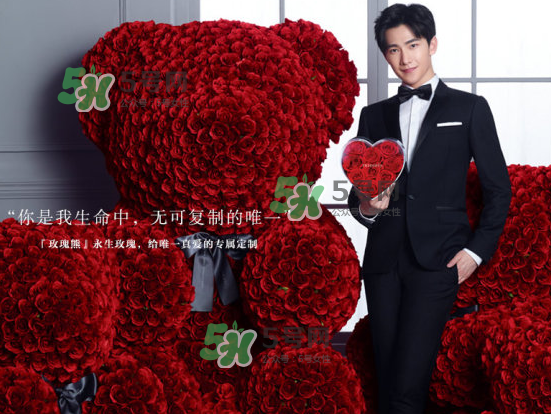 roseonly熊什么材質？roseonly玫瑰熊是真花嗎？