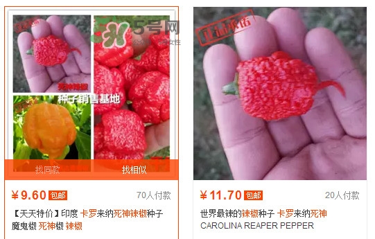 卡羅萊納死神辣椒中國有嗎？死神辣椒哪里有賣