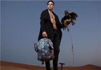 sprayground翅膀書(shū)包多少錢(qián)？sprayground雙肩包什么價(jià)位？