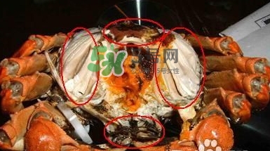 螃蟹怎么吃好吃？螃蟹和什么一起吃最好？